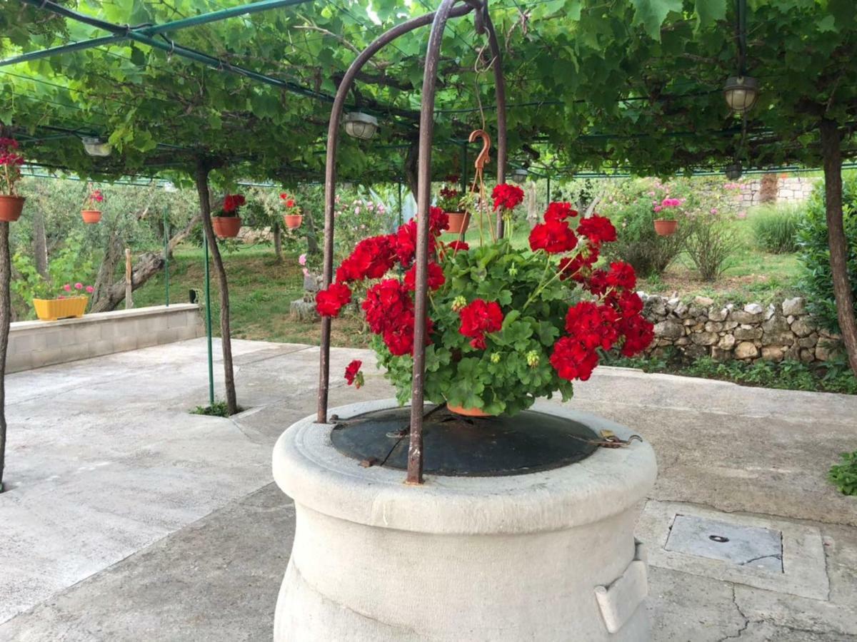 Villa Divna Labin  Ngoại thất bức ảnh